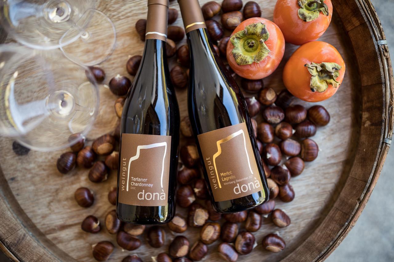 Weingut Dona Villa Appiano Sulla Strada Del Vino Exterior photo