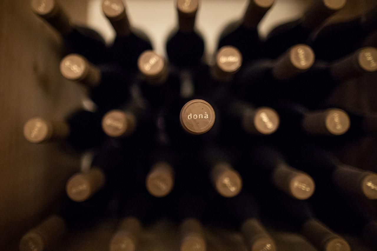 Weingut Dona Villa Appiano Sulla Strada Del Vino Exterior photo